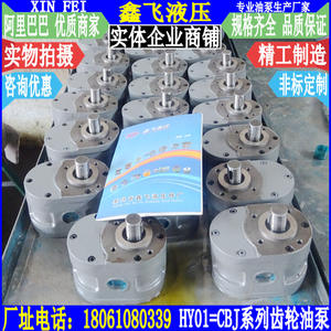 Bomba de Engranajes para Máquina de Pulir de Baja Presión HY01-5X10X3X8X15X12X20X25X35X50X70X100, Categoría de Producto: Equipos de Pulido - Product Image 1