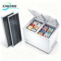 Congélateur solaire 258L à ouverture par le haut, tension automatique DC 12V 24V, idéal pour la conservation de la viande hors réseau dans les fermes brésiliennes