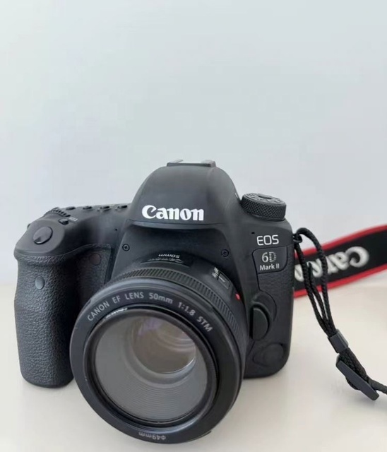 Canon EOS 6D Mark II Buying Guide 2026