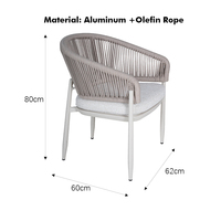 Fauteuil de salle à manger d'extérieur en aluminium avec design lion, dossier en corde tressée, chaise de patio moderne avec dossier vertical en corde et coussin imperméable