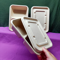 Emballage en pulpe de papier biodégradable, boîte à lunch alimentaire, fruits, légumes, agriculture, qualité alimentaire, sécurité et fonction de stockage aseptique
