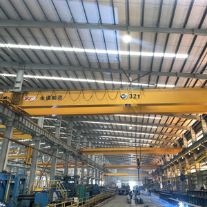 Grúa aérea de doble viga de 20 toneladas para planta de fabricación 25m de elevación máxima - Product Image 5
