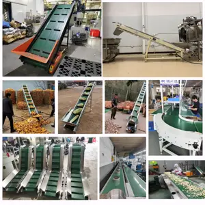 Bingkai Baja Desain Bebas Konveyor Sesuaikan Convoyeur Sabuk PVC Miring Pabrikan