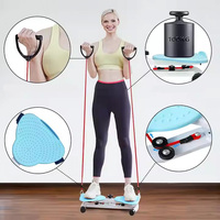 Plateforme d'exercice silencieuse à double pédale pour la taille, disque de torsion pour la taille, planche d'équilibre en ABS+Acier, unisexe