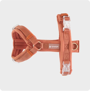 Sunraymascota 犬用ハーネスメーカー 低MOQ 卸売 カスタムデザイン 犬用ハーネスセット 調節可能な犬用ハーネス - Product Image 5