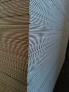<span class=keywords><strong>Tablero</strong></span> de Contrachapado/Fenólico <span class=keywords><strong>Antideslizante</strong></span> para Construcción 4x8, Moderno, de China, 9mm-21mm, con Revestimiento Fenólico de Abedul, Pino y Álamo - Product Image 6
