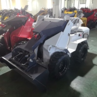 Mini Caricatore Frontale Compatto a Batteria Economico per Agricoltura in Vendita