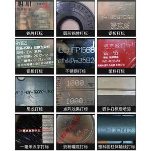 Machine de marquage et de gravure électrique en acier inoxydable 300W, imprimante de gravure laser pour plaques signalétiques et découpe de métal - Product Image 6