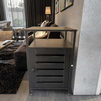 Table console de style moderne OEM/ODM avec rangement à portes pour hôtel et salon, mobilier de maison en métal et bois