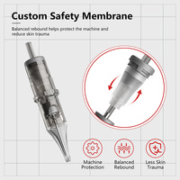 Custom OEM Pro2.0 Wegwerp Naalden voor Tatoeages, 100% EO-gas gesteriliseerd, Private Label, met membraan.