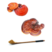 Miracle Boosterwhitening Verbeteren Pigmentatie Reishi Paddestoel Extract Ganodermalucidum Rainwood Poeder Capsule