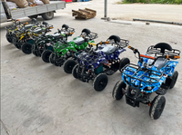 Mini Quad 4x4, Buggy de Plage à 4 Roues, Petit VTT Électrique pour Enfants, 48V 1000W, Buggy de Plage Tout-Terrain