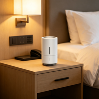 Mini diffuseur d'arômes multifonctionnel à brancher et humidificateur ionisant avec barre d'oxygène, commande par bouton, veilleuse pour voiture, bureau, maison