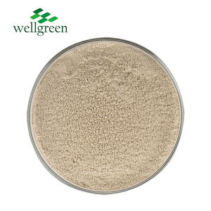 Wellgreen CAS 95077 poudre d'enzyme Serrapeptase 500000 UI/G de protéase neutre - Product Image 1