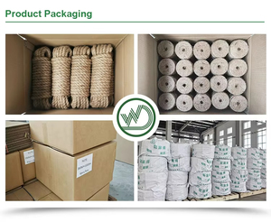 Beste prijs natuurlijke sisal touw voor tuinieren, plantenhanging, buiten knutselen, inpakken, herstellen, doe-het-zelf krabpaal - Product Image 5
