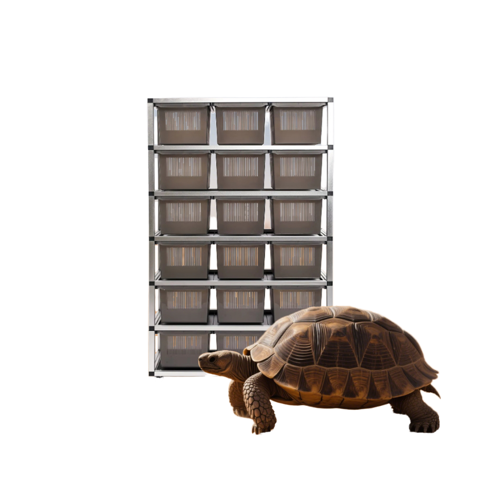 Reptile Terrarium, Snake Rack with Heat, Reptile Rack with UVB Light ...