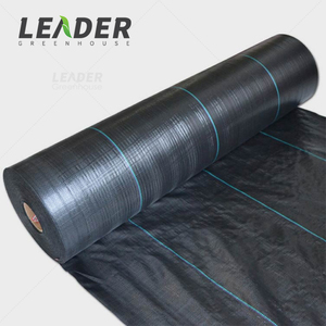 Toile de paillage non tissée traitée anti-UV, noire, blanche, bleue, pour la plantation de <span class=keywords><strong>myrtilles</strong></span> et la couverture du sol - Product Image 5