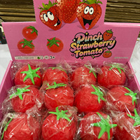 Simulasi Harga Grosir Mainan Squishy Fidget Set Makanan Kacang Keju Stroberi Lembut untuk Meredakan Stres Mainan Sensorik Kotak Misteri