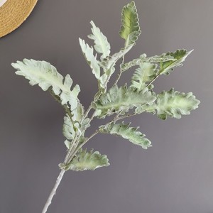 Directo de Fábrica OEM/ODM Tallos Artificiales de Senecio Cineraria Plateado con Hojas Flocadas para Decoración Floral de Bodas - Product Image 3