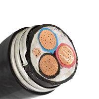 Câble blindé TECK90 0,6V/1KV, câble d'alimentation en cuivre isolé XLPE pour installation industrielle et souterraine