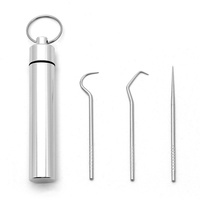 1 ensemble de cure-dents métal acier inoxydable nettoyage Oral fil dentaire cure-dents Portable