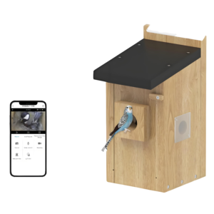 Caméra de Nid d'Oiseau à Faible Consommation d'Énergie, Grand Angle de Vision, 5MP, avec Vision Nocturne, Wi-Fi, Solaire, Garantie 1 An - Product Image 1