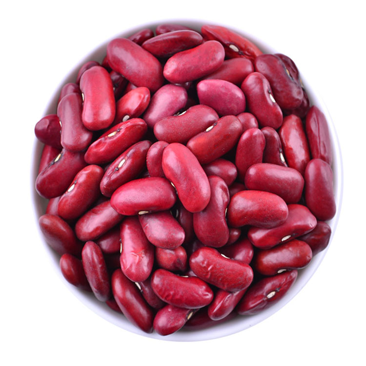 красные бобовые. фасоль красная. красные бобы. фасоль королевская. фасоль.