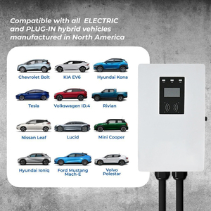 DIBOEV 100A <span class=keywords><strong>DC</strong></span> Fast Commercial EV Charger OCPP WIFI 4G GBT CCS Station <span class=keywords><strong>de</strong></span> <span class=keywords><strong>recharge</strong></span> pour voiture électrique Type2 EV Charger - Product Image 5