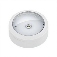 Neue CE-Zertifizierte Lithium-Batterie Kompakte IP65 Notfall-LED-Deckenleuchte 3 Stunden Notbeleuchtungszeit SMD LED 6000K Tageslicht