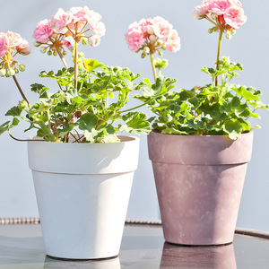 Maceta decorativa de alta calidad <span class=keywords><strong>para</strong></span> flores cortadas, Cubo de flores de plástico blanco y rosa <span class=keywords><strong>para</strong></span> decoración del hogar, maceta con estampado de nubes <span class=keywords><strong>para</strong></span> jardín - Product Image 2