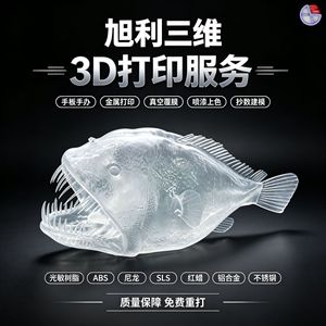 Service d'impression 3D de modèles en résine ABS transparente Xuli 3D, personnalisation de la conception industrielle - Product Image 4