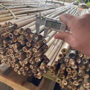 Venta al por mayor grandes postes de bambú Vietnam tratado Moso tubo de poste de bambú para el panel de pared y la estructura al aire libre de precio de fábrica - Product Image 3