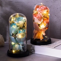 Rose éternelle sous cloche en verre, bouquet lumineux pour la Saint-Valentin, cadeau de remise de diplôme pour meilleure amie, ou pour Noël