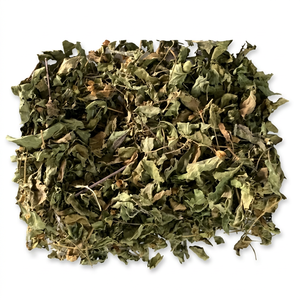 Fournisseur de feuilles de Tulsi (Basilic sacré) en Inde à prix raisonnable - Product Image 4