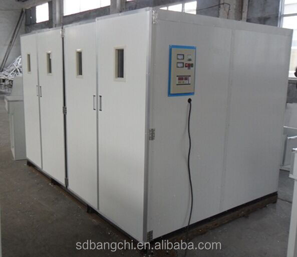 solar egg incubators for chickens