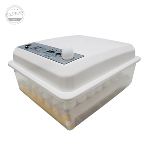 Offre Spéciale automatique <span class=keywords><strong>de</strong></span> poulet et <span class=keywords><strong>de</strong></span> canard incubateur d'oeufs incubateur d'oeufs <span class=keywords><strong>de</strong></span> perroquet entièrement automatique pour les oeufs <span class=keywords><strong>de</strong></span> <span class=keywords><strong>faisan</strong></span> - Product Image 3