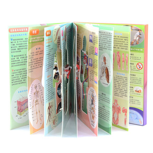 Juguetes de estructura del esqueleto humano y de los órganos, libros, modelos de simulación de esqueleto completo y órganos internos - directo del fabricante - Product Image 3