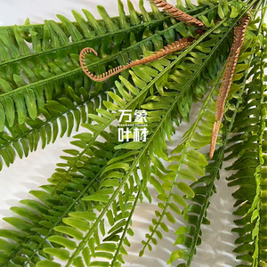 Feuilles de fougère artificielles, décoration murale verte, bouquet de fleurs en soie, fougère queue de phénix, mousse simulée, style nordique - Product Image 4