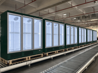 Congélateur commercial vertical pour glaces avec porte vitrée -24°C pour supermarché et épicerie