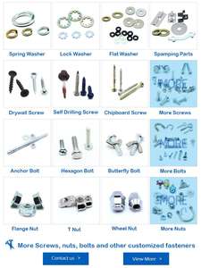Vis auto-perceuses <span class=keywords><strong>Torx</strong></span> en acier inoxydable non standard personnalisées écrous boulons vis à tête ovale en nickel clous de toiture métrique - Product Image 2