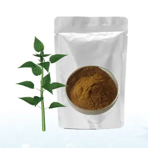 CIyuan Factory Wholesale Nettle Root Urticae radix Dry extract Powder in Bulk Price