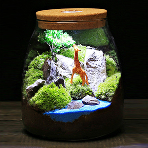 Kit de <span class=keywords><strong>terrarium</strong></span> de bricolage <span class=keywords><strong>Terrarium</strong></span> de mousse à verre pour plantes avec couvercle en liège <span class=keywords><strong>Terrarium</strong></span> de plantes à air - Product Image 5