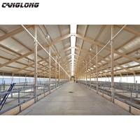 Structure en acier léger pour étable à moutons, ferme d'élevage de bovins, construction d'étable à vaches