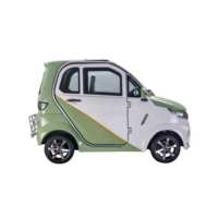 Quadricycle électrique fermé 3 places certifié UE, multi-batteries, longue portée