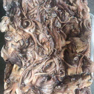 Frozen <strong>Squid</strong> Tube Gigas Cleaned <strong>Calamari</strong> <strong>Squid</strong> Ring High Quality - Product Image 6