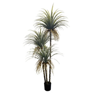 Haute Qualité Real Touch Arbres Dracaena Cinnabari Plante Artificielle pour Pot Décoration En Plein Air Décoratif Arbre En Pot Arboles - Product Image 5