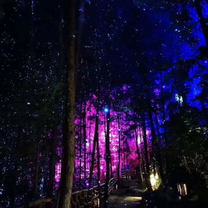 Impermeable árbol luciérnaga láser efecto 5W Rgb a todo Color centelleante Navidad proyector luz paisaje club nocturno - Product Image 1