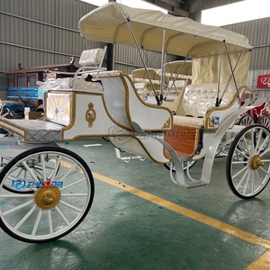 Calèche de tourisme blanche, fraîche et élégante, transport spécial, calèche de mariage, fabricant de calèches de tourisme à vendre - Product Image 3