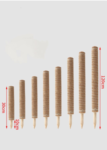 Poste <span class=keywords><strong>de</strong></span> soporte para plantas trepadoras <span class=keywords><strong>de</strong></span> interior, <span class=keywords><strong>de</strong></span> cáscara <span class=keywords><strong>de</strong></span> palma <span class=keywords><strong>de</strong></span> coco y bambú <span class=keywords><strong>con</strong></span> forma <span class=keywords><strong>de</strong></span> caparazón <span class=keywords><strong>de</strong></span> tortuga - Product Image 3