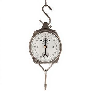 Báscula Mecánica Colgante AARK, Capacidad 100 kg, Precisión 10 g, Balanza de Resorte OEM para Cocina/Taller, 1 Año de Garantía, Precio al por Mayor - Product Image 1